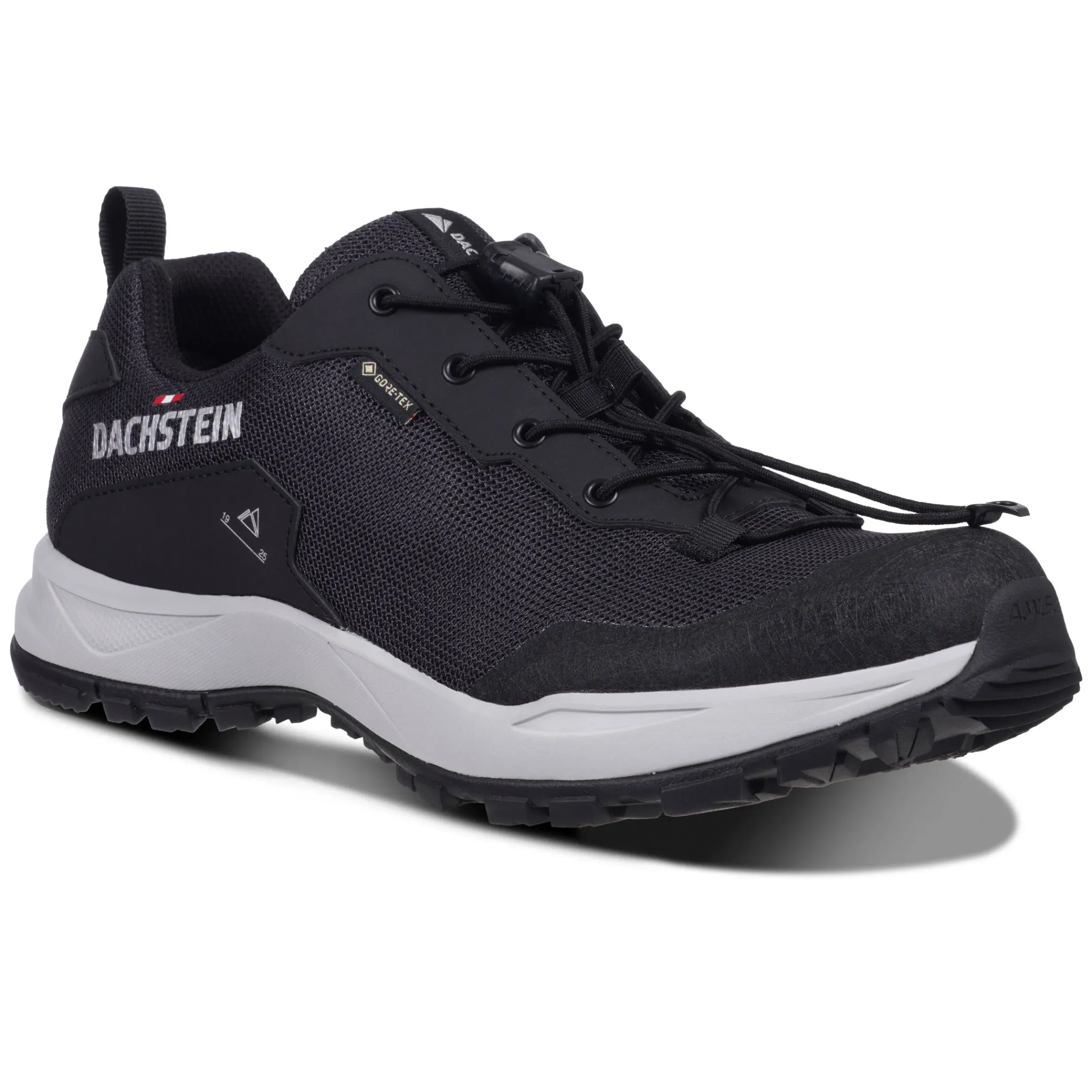 Outlet DACHSTEIN Delta Ascent GTX