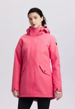 Online ICEPEAK Addis