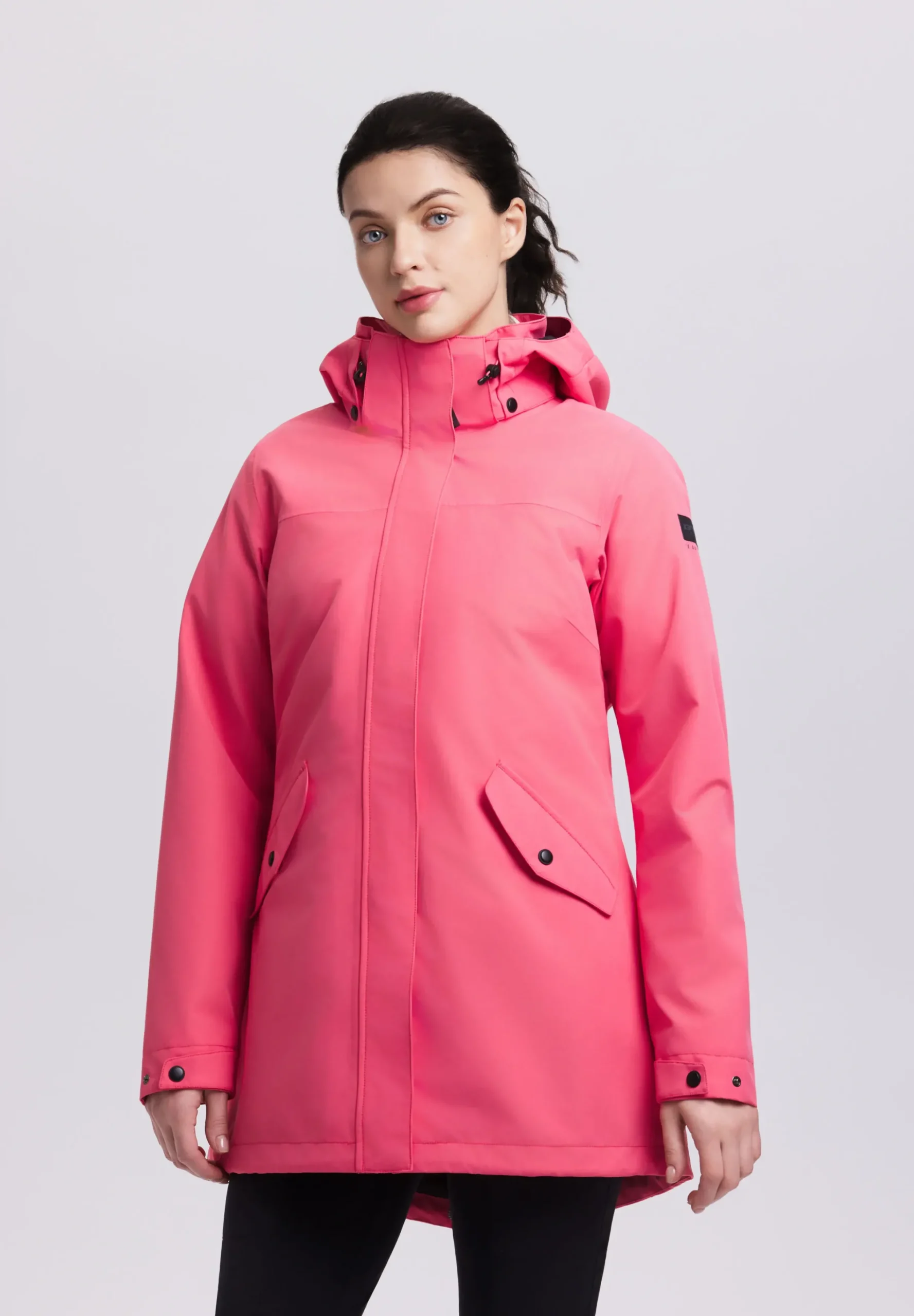 Online ICEPEAK Addis