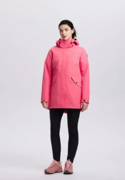 Online ICEPEAK Addis
