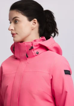 Online ICEPEAK Addis