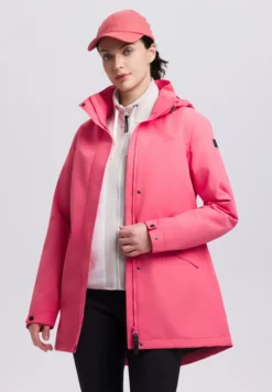 Online ICEPEAK Addis
