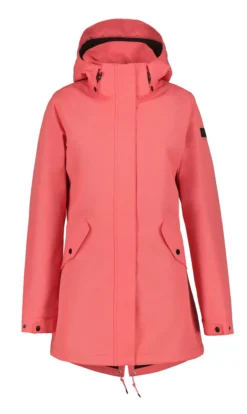 Online ICEPEAK Addis