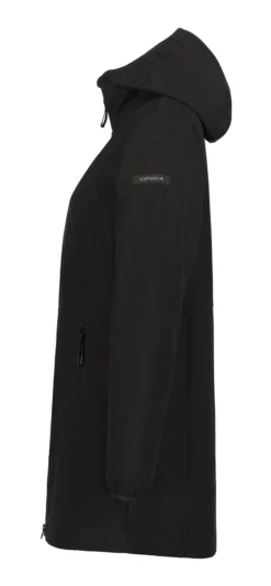 Online ICEPEAK Albany