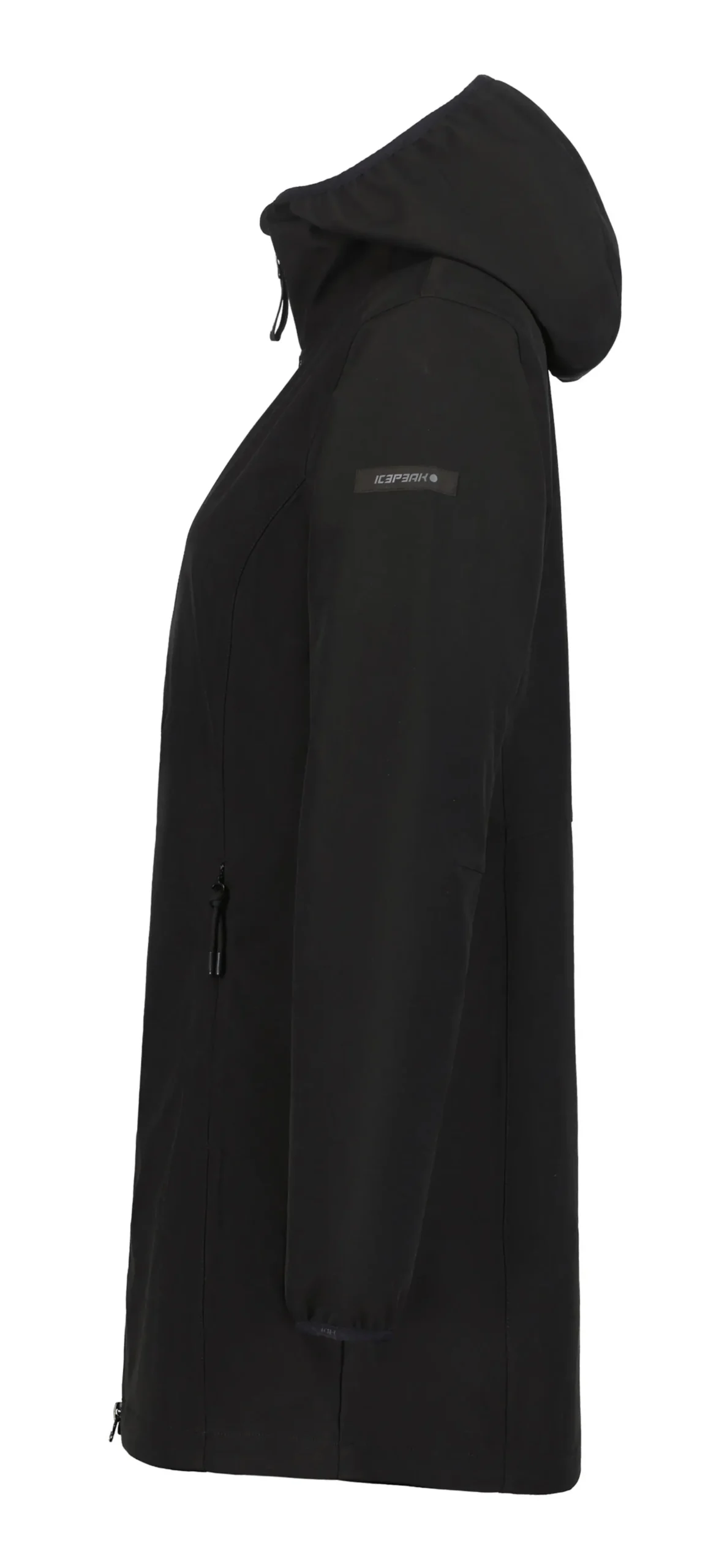 Online ICEPEAK Albany
