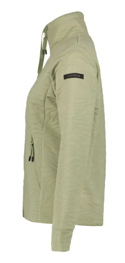 Online ICEPEAK Anoka