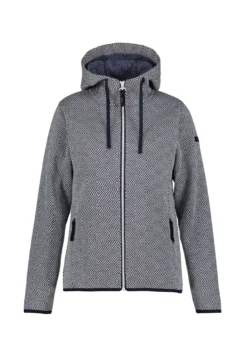 Online ICEPEAK Auen