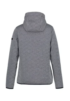 Online ICEPEAK Auen