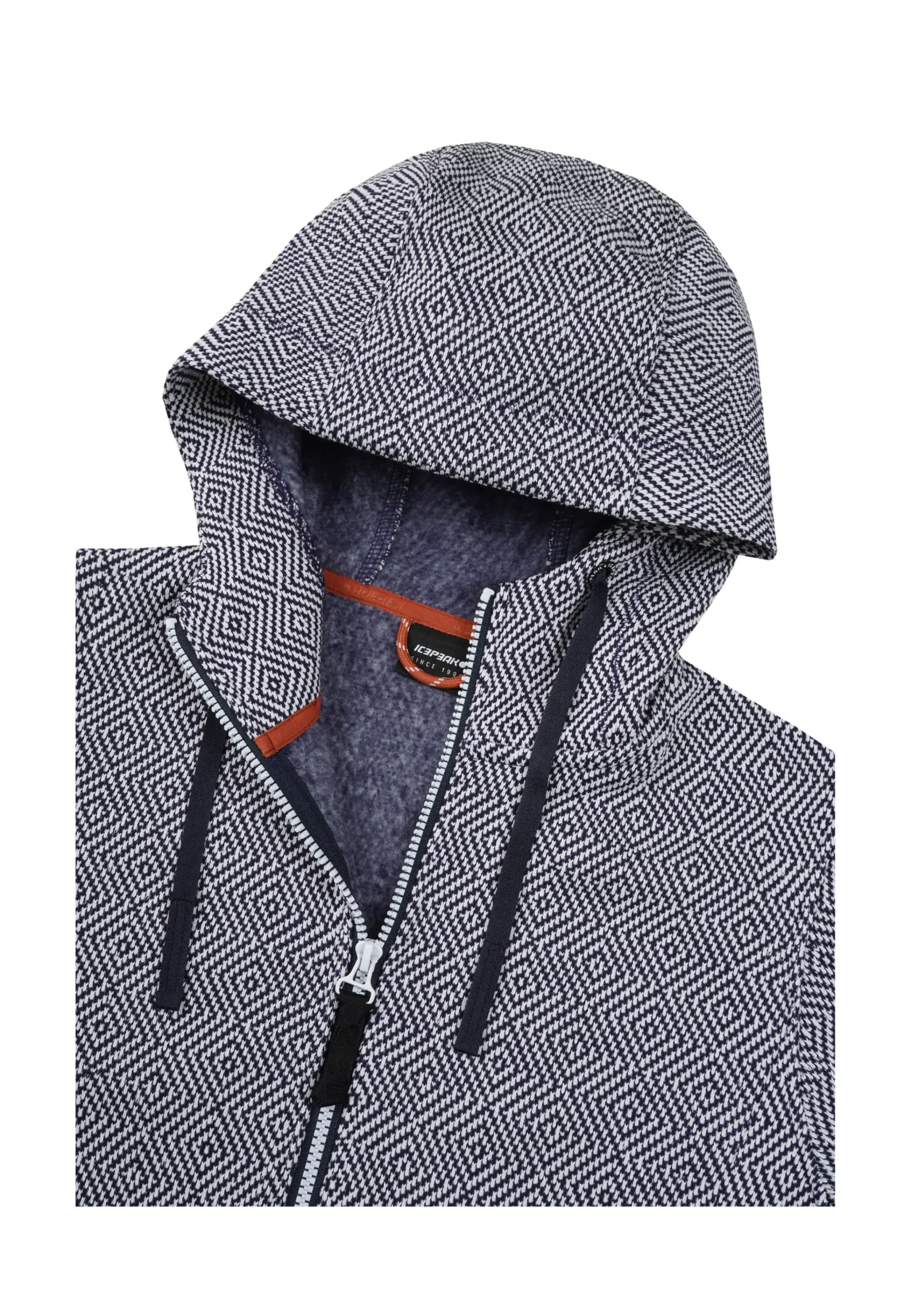 Online ICEPEAK Auen