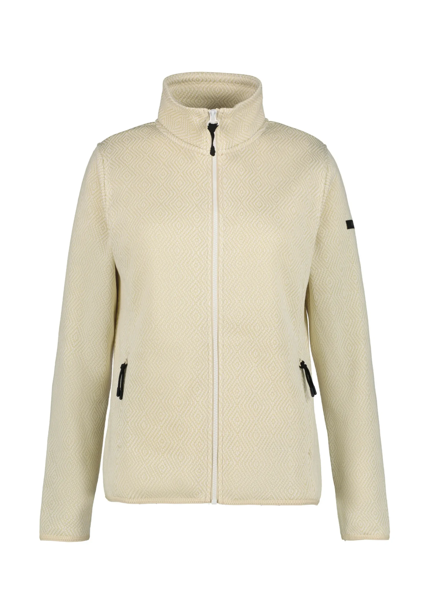 Online ICEPEAK Auti