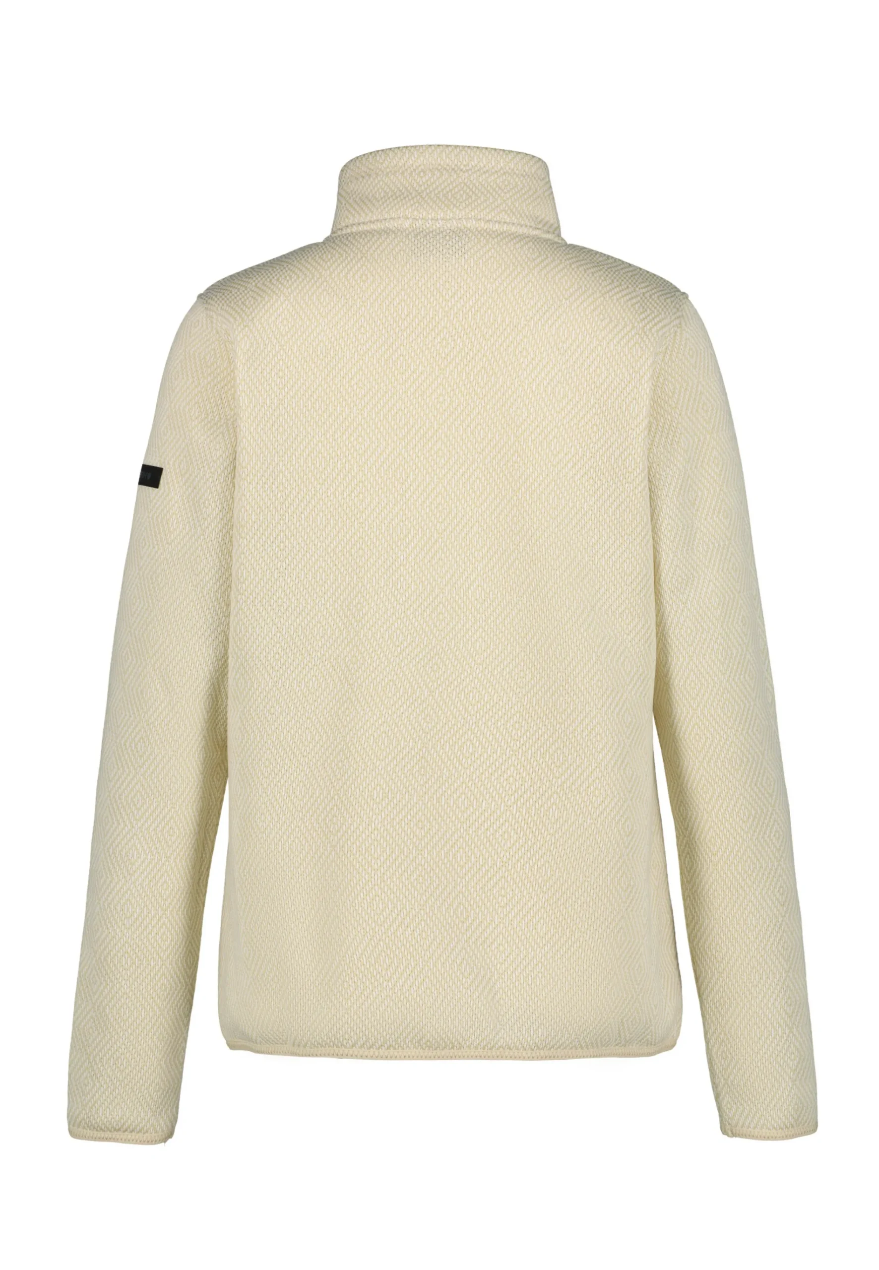 Online ICEPEAK Auti