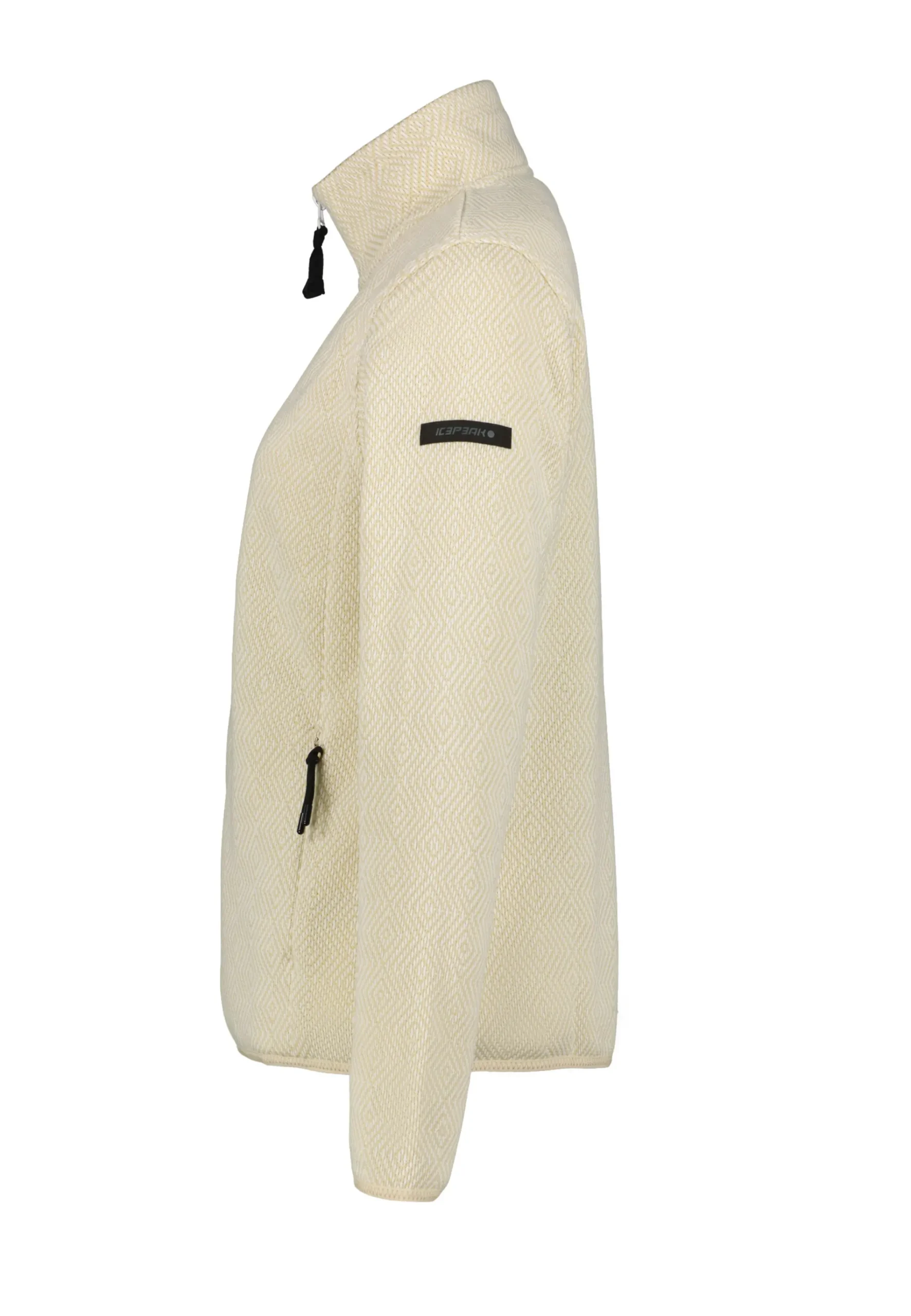 Online ICEPEAK Auti
