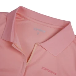 Online ICEPEAK Bazine