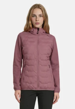 Online ICEPEAK Burlison