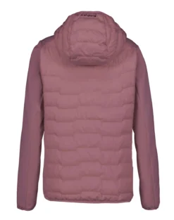 Online ICEPEAK Burlison