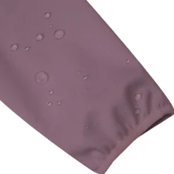 Online ICEPEAK Burlison