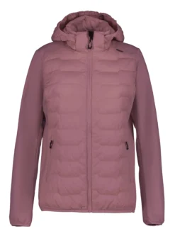 Online ICEPEAK Burlison
