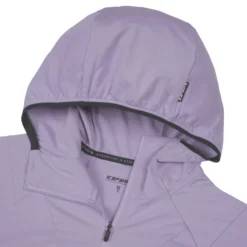 ICEPEAK Dinan