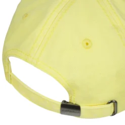 Online ICEPEAK Hadley