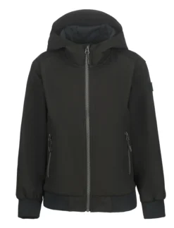 Online ICEPEAK Ketzin Jr
