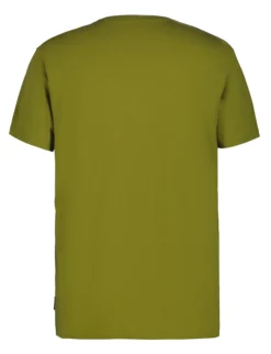 Online ICEPEAK ararth