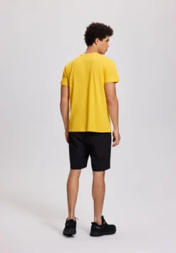 Online ICEPEAK iington
