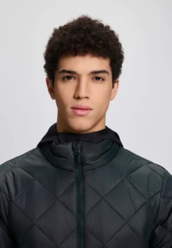 Online ICEPEAK Palmer