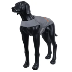 Online ICEPEAK PET Brighty viibiityvet