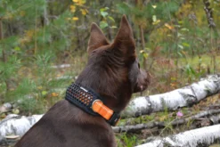 Sale ICEPEAK PET CobCoar