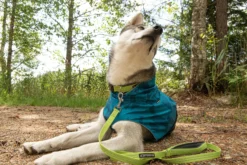 Clearance ICEPEAK PET Grand x coar