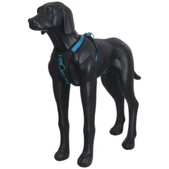 Best ICEPEAK PET Highway harne