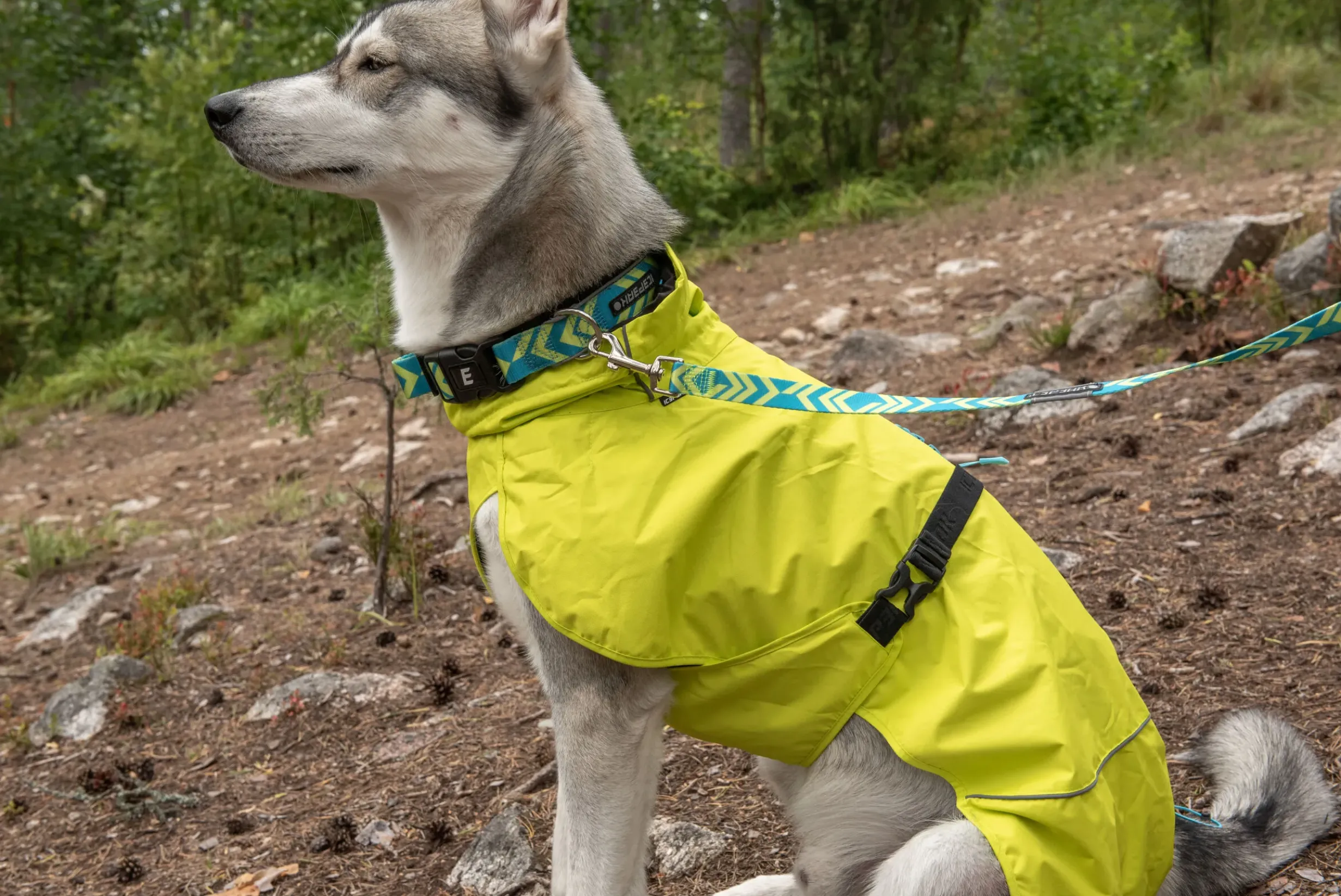 Sale ICEPEAK PET ive oft coar