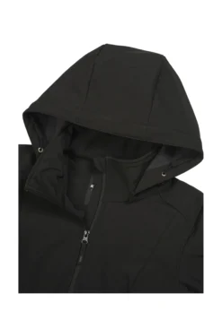 Online ICEPEAK Vanderbilt