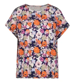 Clearance OIS Abha