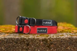 New RUKKA PETS Bi coar