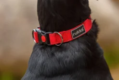 RUKKA PETS Bi coar
