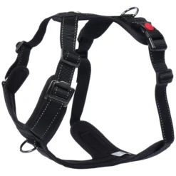 Outlet RUKKA PETS Bi Harne