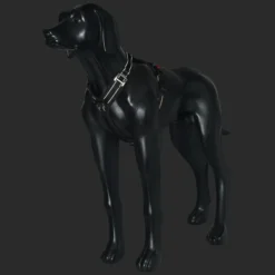 Outlet RUKKA PETS Bi Harne