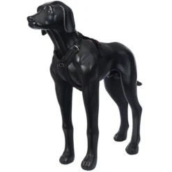 Outlet RUKKA PETS Bi Harne