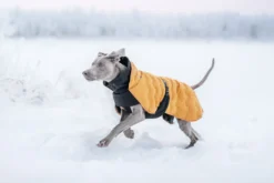 Sale RUKKA PETS Bubble Coat