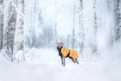 Sale RUKKA PETS Bubble Coat