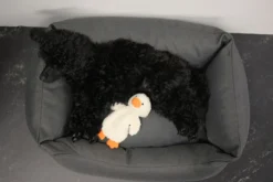 Outlet RUKKA PETS Calm Duck Toy