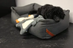 RUKKA PETS Calm Koala Toy