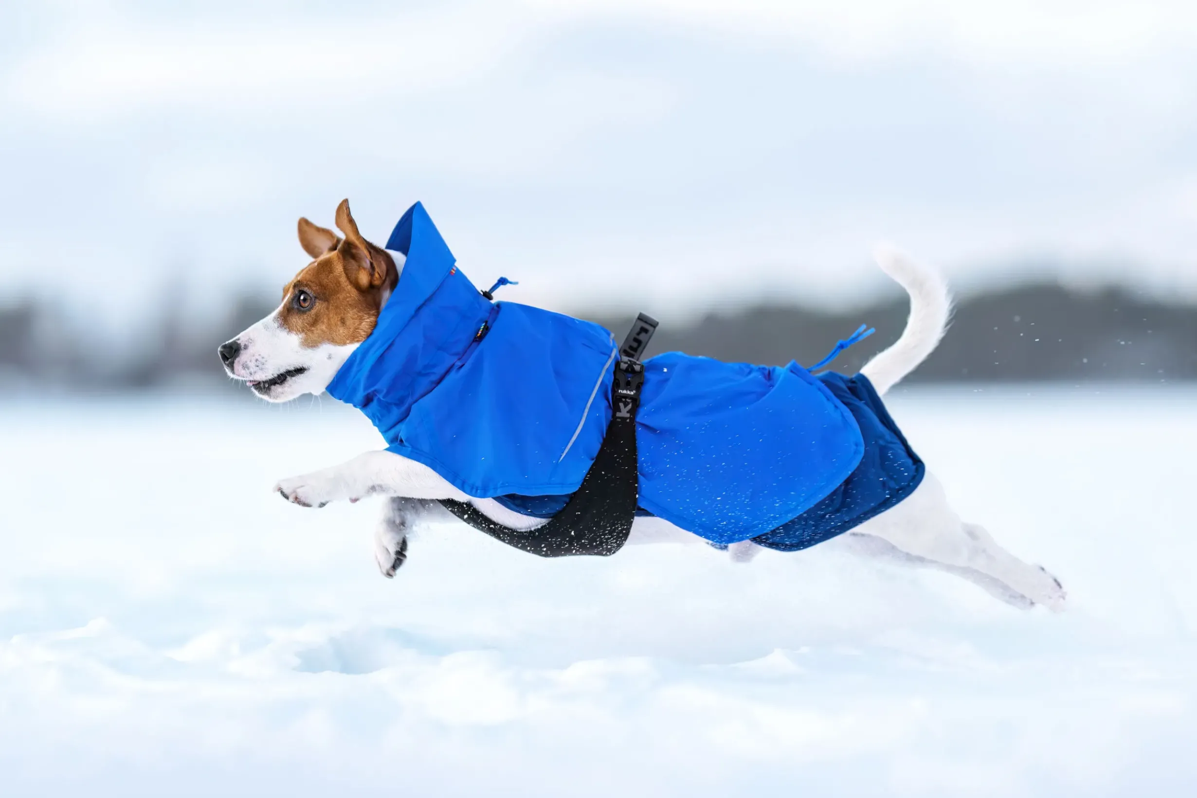 Online RUKKA PETS Discovery 3In1 Coat