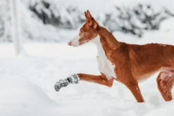Hot RUKKA PETS Fleece boots pcs
