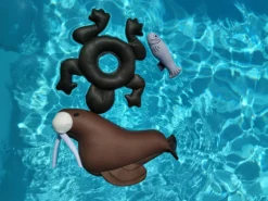 RUKKA PETS Frog Floating Toy