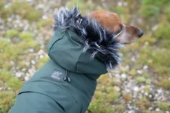 Discount RUKKA PETS Frostbiter parka