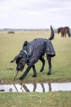 Hot RUKKA PETS Hayton warm raincoat