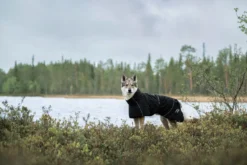 New RUKKA PETS Hayton x raincoat