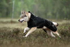 New RUKKA PETS Hayton x raincoat